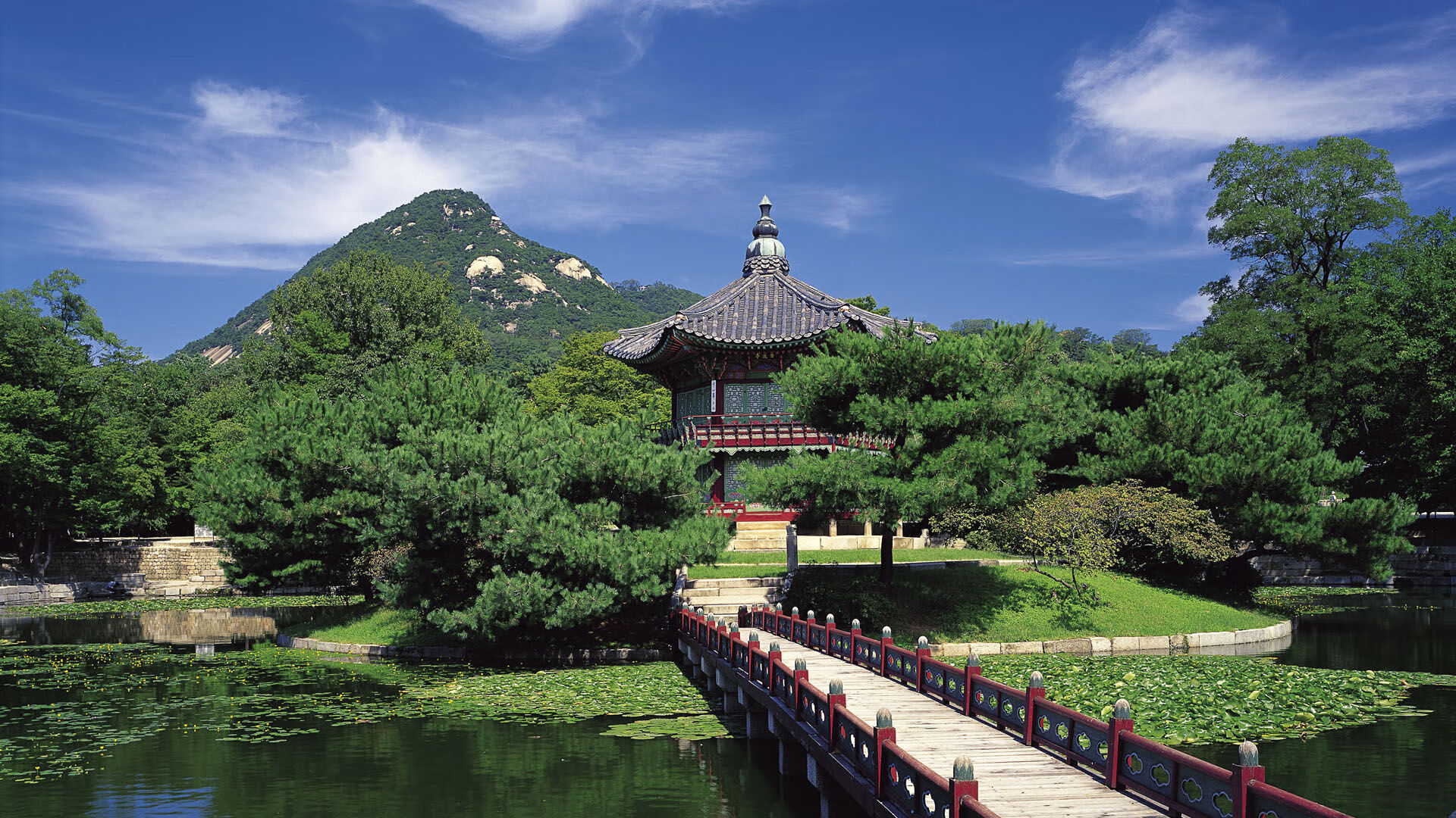 九游下载安装-青海队在最新一场比赛中获得重要胜利，表现不俗，青海打球