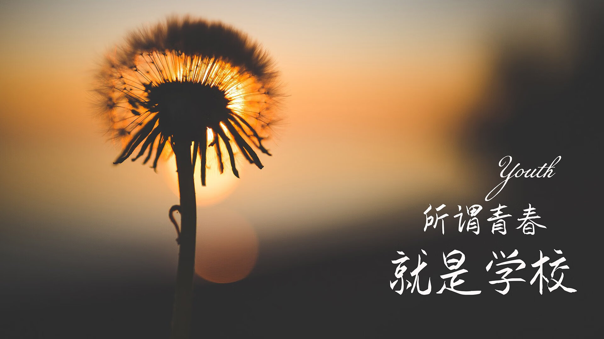 乌拉圭男足在巴黎奥运会上获得铜牌，创历史