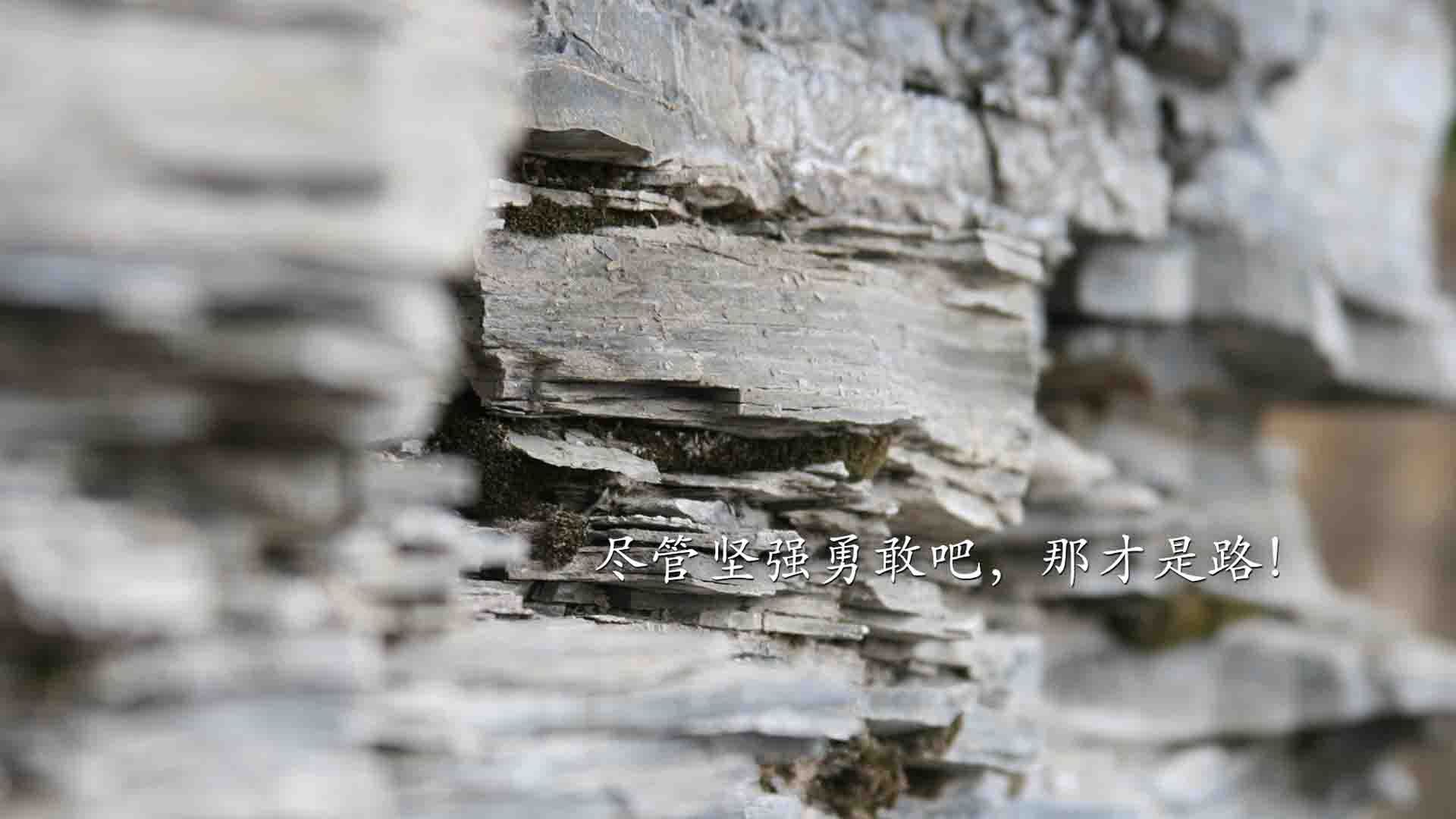 体育题材纪录片热播勾起观众对过往经典的回忆,体育相关纪录片
