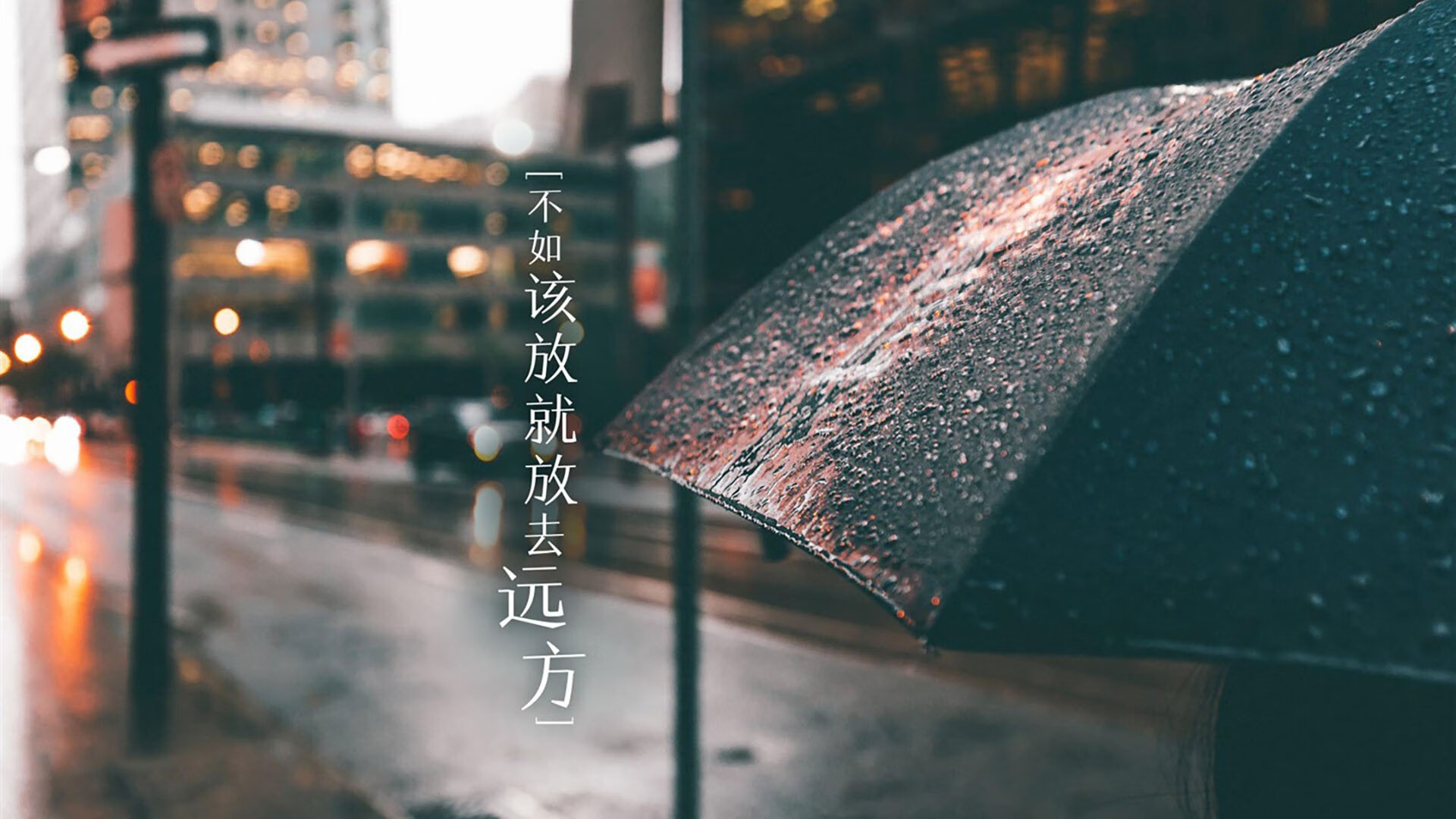 九游app官网下载-李娜参与母校活动鼓励青少年参与体育，李娜 比赛