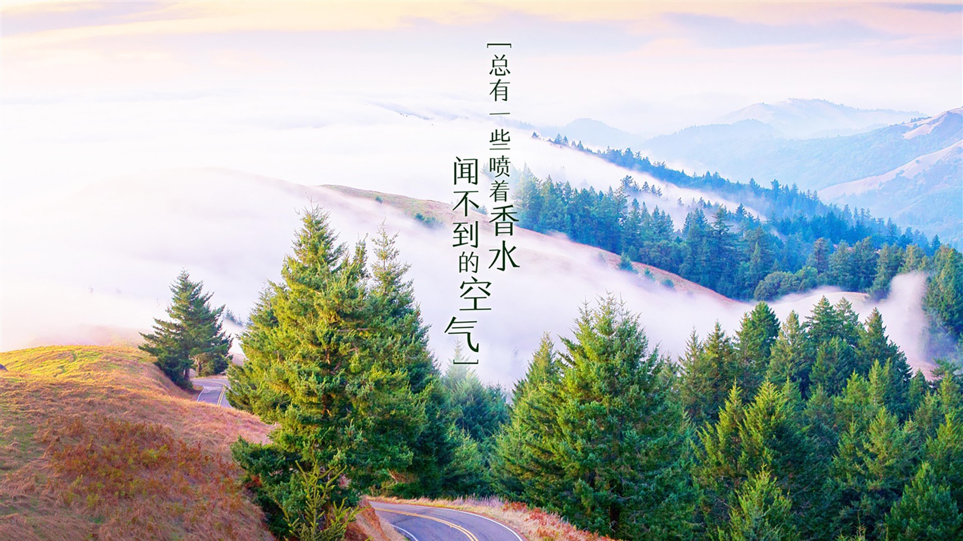 自由泳长距离摩纳哥耐力出众,200自由泳视频